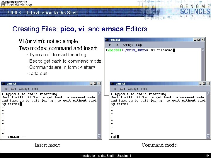 2. 0. 0. 3 – Introduction to the Shell Creating Files: pico, vi, and