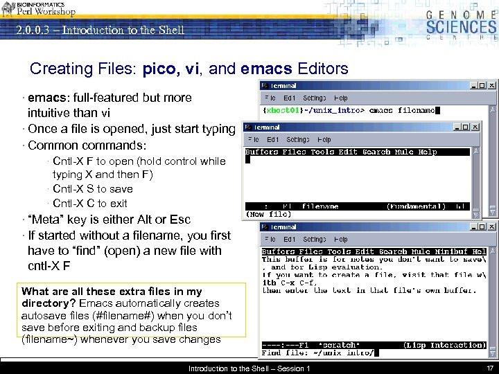 2. 0. 0. 3 – Introduction to the Shell Creating Files: pico, vi, and