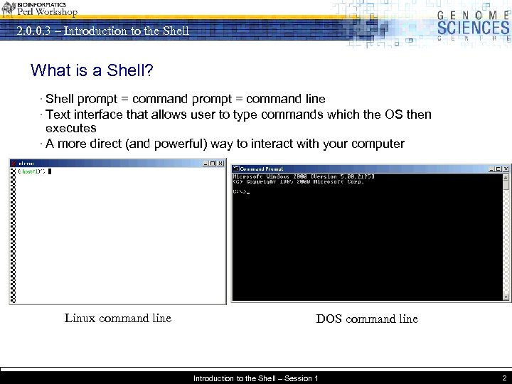 2. 0. 0. 3 – Introduction to the Shell What is a Shell? ·