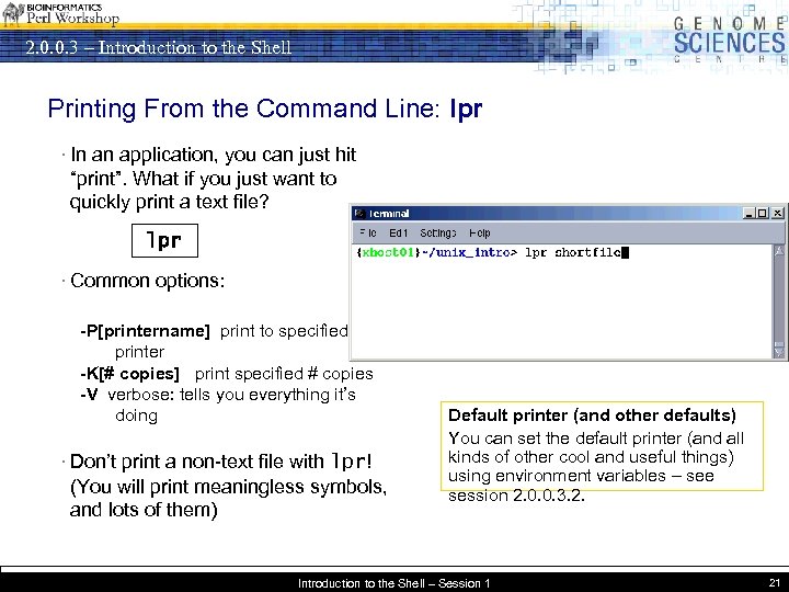 2. 0. 0. 3 – Introduction to the Shell Printing From the Command Line:
