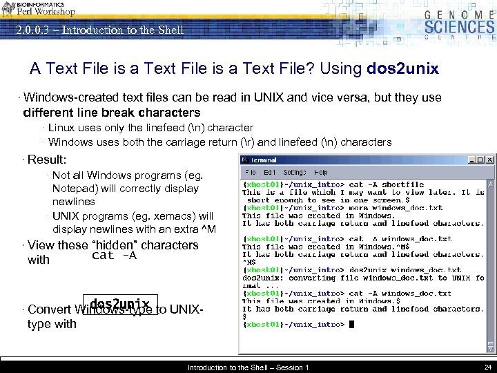 2. 0. 0. 3 – Introduction to the Shell A Text File is a