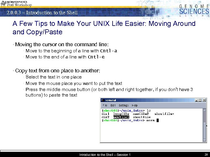 2. 0. 0. 3 – Introduction to the Shell A Few Tips to Make