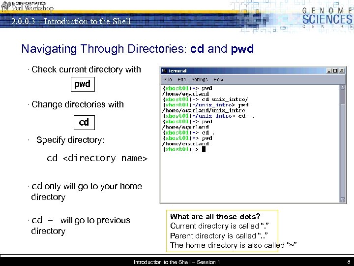 2. 0. 0. 3 – Introduction to the Shell Navigating Through Directories: cd and
