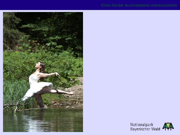 Cross-border environmental communication 