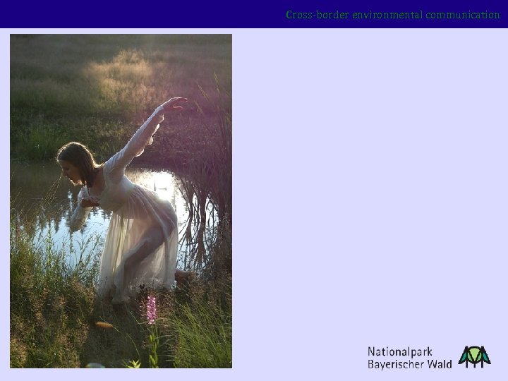 Cross-border environmental communication 