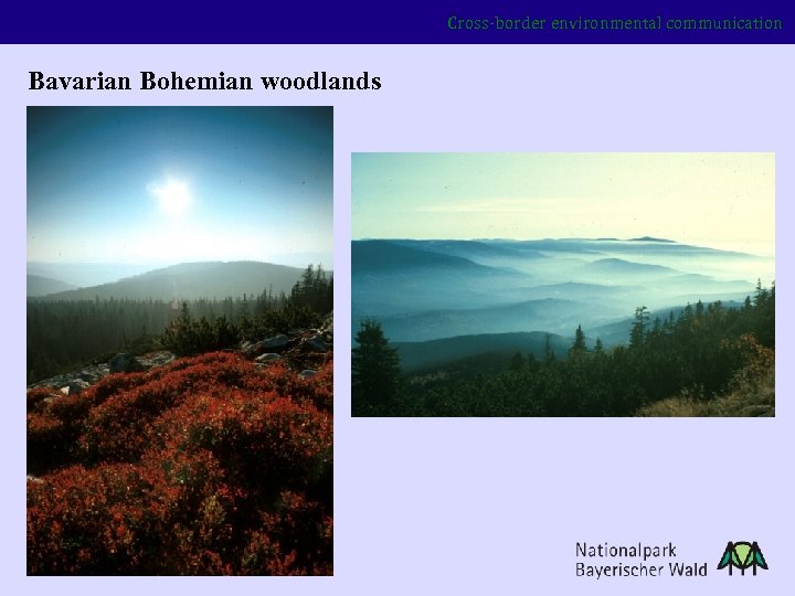 Cross-border environmental communication Bavarian Bohemian woodlands 