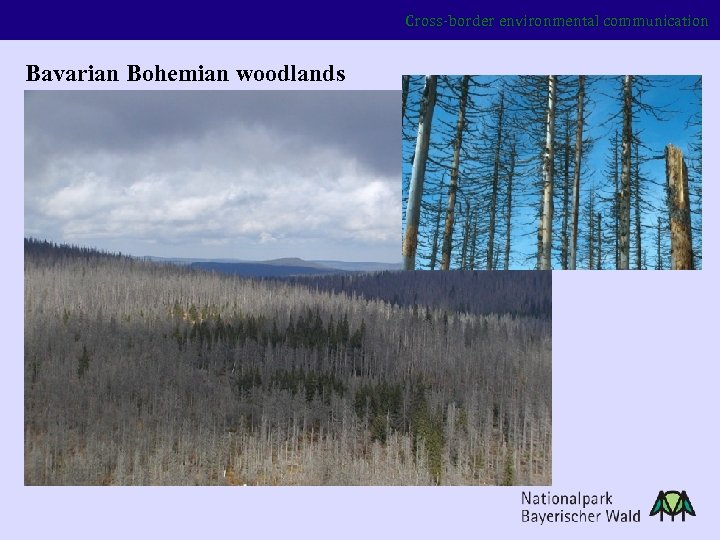 Cross-border environmental communication Bavarian Bohemian woodlands 