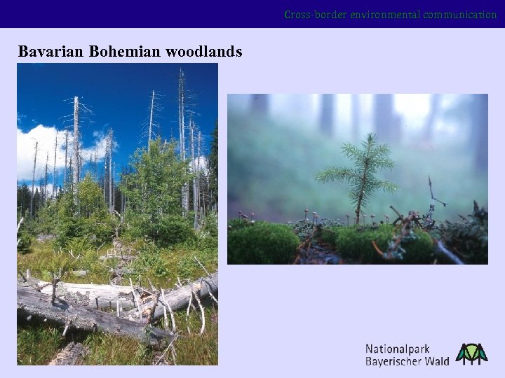 Cross-border environmental communication Bavarian Bohemian woodlands 
