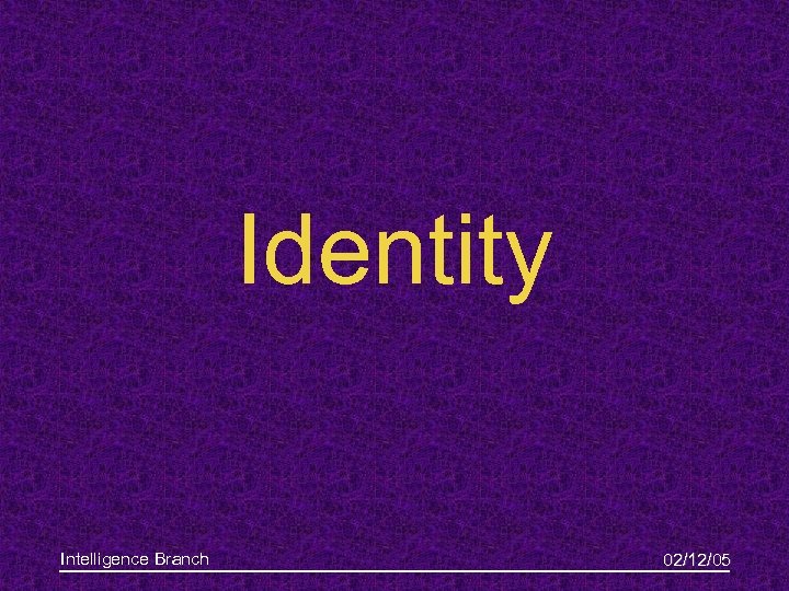 Identity Intelligence Branch 02/12/05 