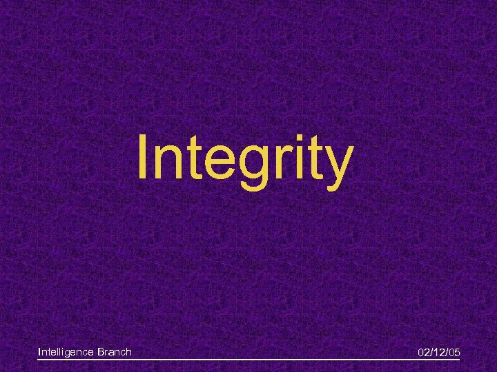 Integrity Intelligence Branch 02/12/05 