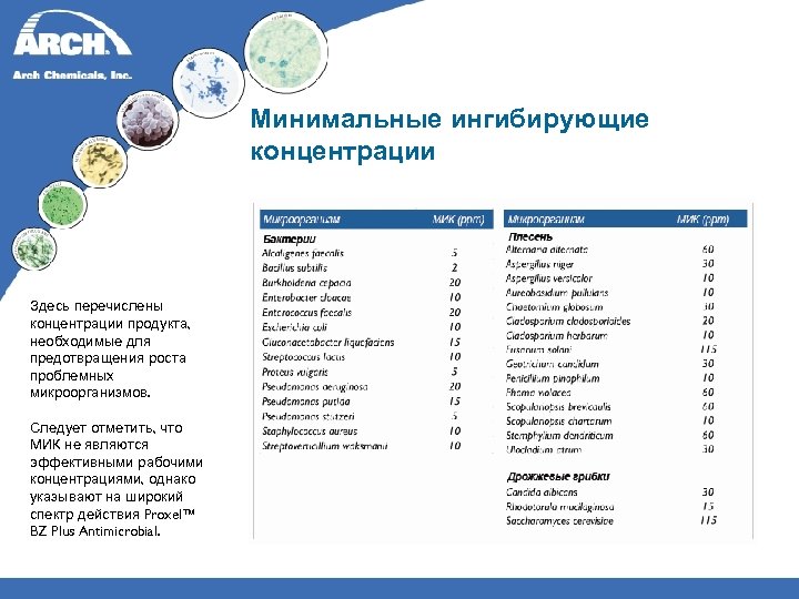 Минимальные ингибирующие концентрации Здесь перечислены концентрации продукта, необходимые для предотвращения роста проблемных микроорганизмов. Следует