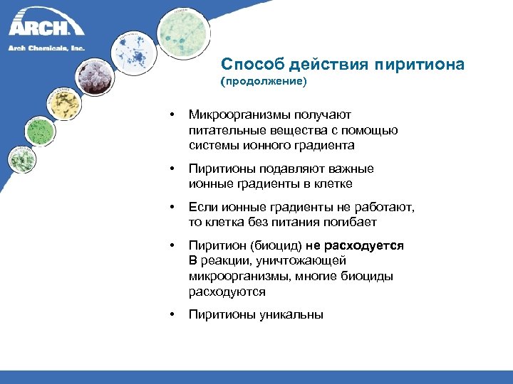 Способ действия пиритиона (продолжение) • Микроорганизмы получают питательные вещества с помощью системы ионного градиента