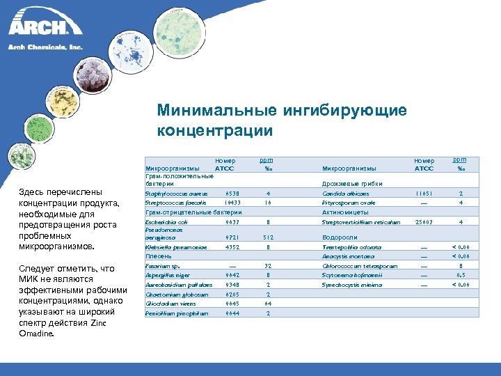 Минимальные ингибирующие концентрации Здесь перечислены концентрации продукта, необходимые для предотвращения роста проблемных микроорганизмов. ppm
