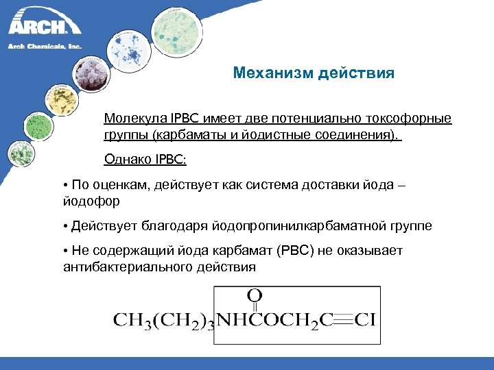 Механизм действия Молекула IPBC имеет две потенциально токсофорные группы (карбаматы и йодистные соединения). Однако
