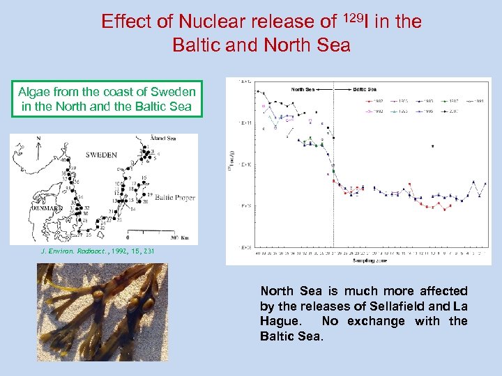 Effect of Nuclear release of 129 I in the Baltic and North Sea Algae