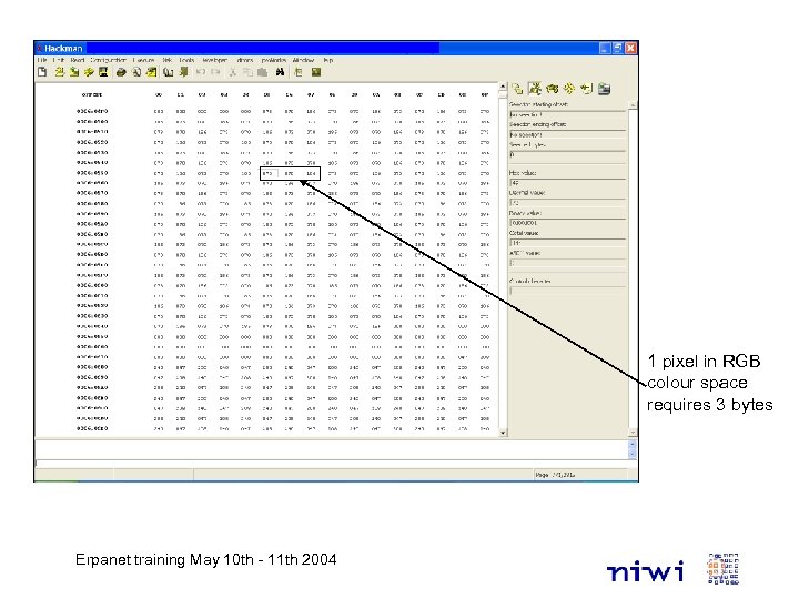 1 pixel in RGB colour space requires 3 bytes Erpanet training May 10 th