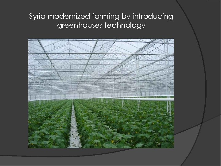 Syria modernized farming by introducing greenhouses technology 