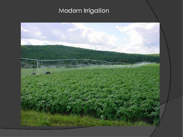 Modern Irrigation 