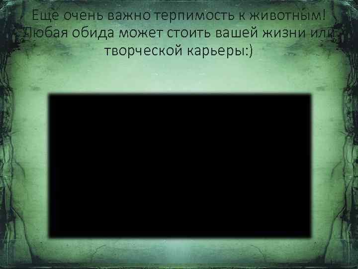 Еще очень важно терпимость к животным! Любая обида может стоить вашей жизни или творческой