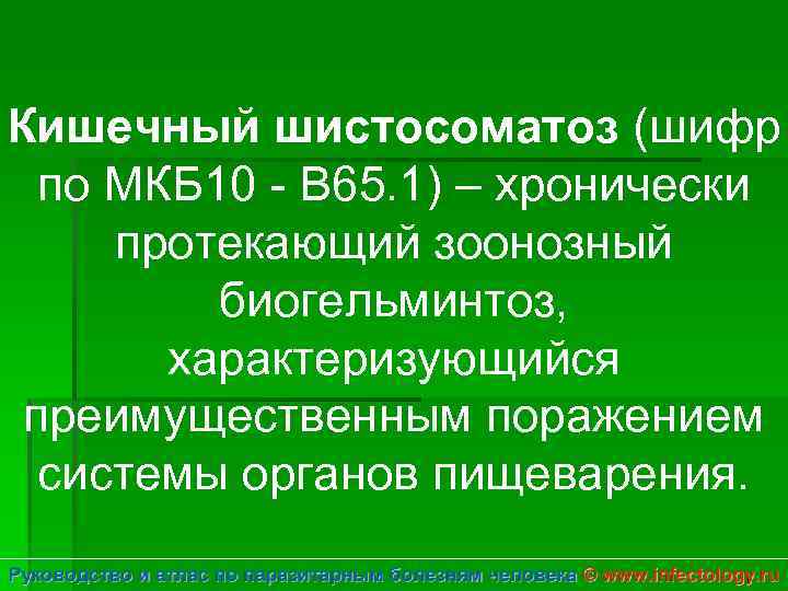 Кишечный шистосоматоз (шифр по МКБ 10 - B 65. 1) – хронически протекающий зоонозный