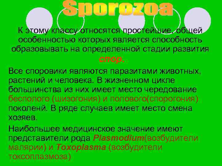 К этому классу относятся простейшие, общей особенностью которых является способность образовывать на определенной стадии