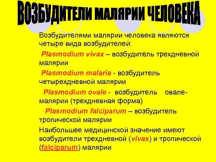 Возбудителями малярии человека являются четыре вида возбудителей: Plasmodium vivax – возбудитель трехдневной малярии Plasmodium