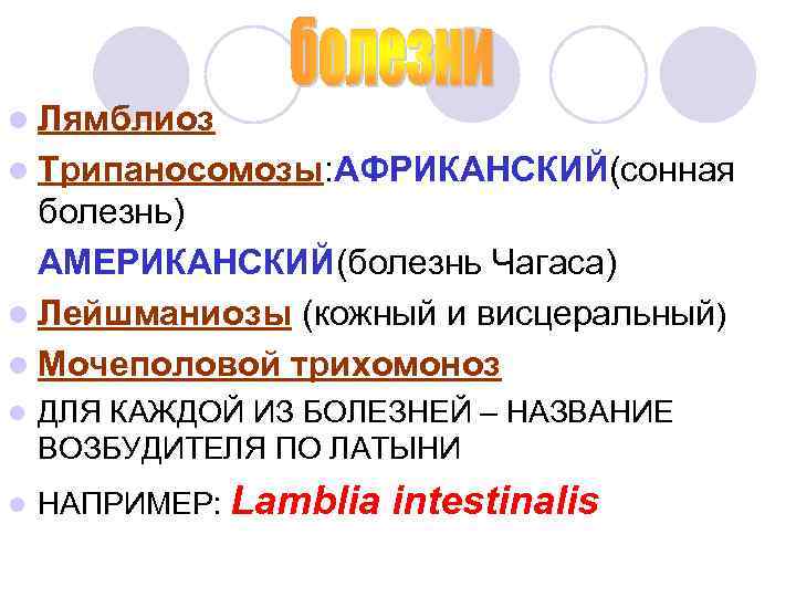l Лямблиоз l Трипаносомозы: АФРИКАНСКИЙ(сонная болезнь) АМЕРИКАНСКИЙ(болезнь Чагаса) l Лейшманиозы (кожный и висцеральный) l