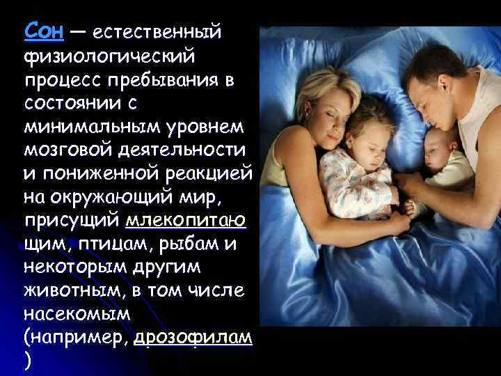 Сон — естественный физиологический процесс пребывания в состоянии с минимальным уровнем мозговой деятельности и