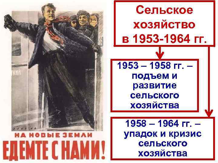 Сельское хозяйство в 1953 -1964 гг. 1953 – 1958 гг. – подъем и развитие