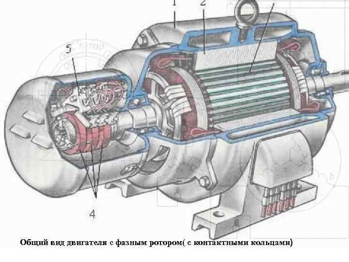 Общий вид двигателя с фазным ротором( с контактными кольцами) 