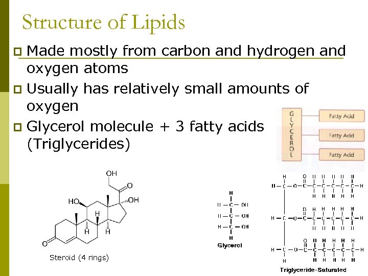 Structure of Lipids Made mostly from carbon and hydrogen and oxygen atoms p Usually