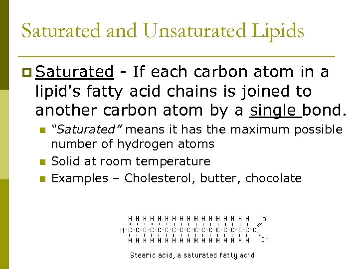 Saturated and Unsaturated Lipids p Saturated - If each carbon atom in a lipid's