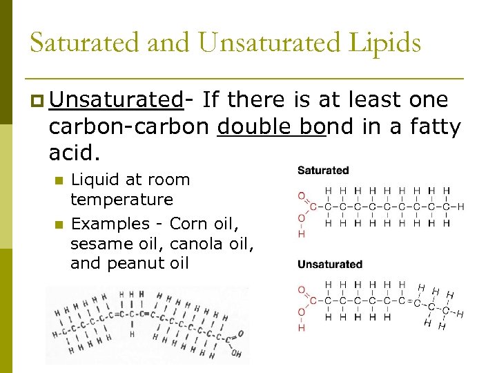 Saturated and Unsaturated Lipids p Unsaturated- If there is at least one carbon-carbon double