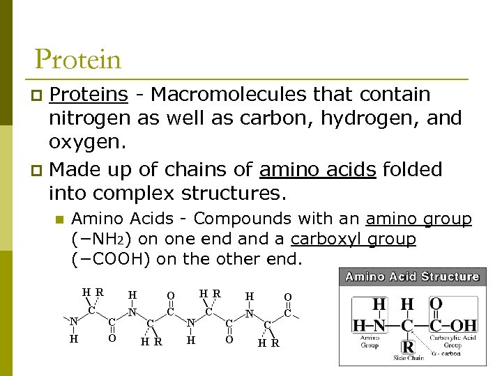 Proteins - Macromolecules that contain nitrogen as well as carbon, hydrogen, and oxygen. p