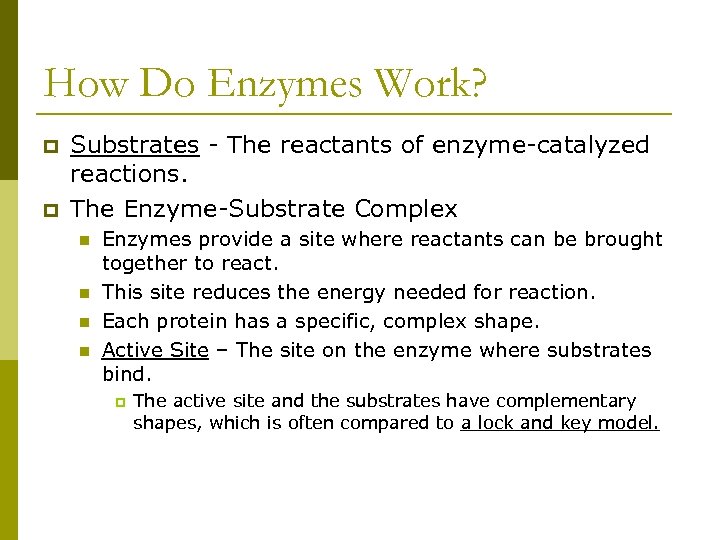 How Do Enzymes Work? p p Substrates - The reactants of enzyme-catalyzed reactions. The