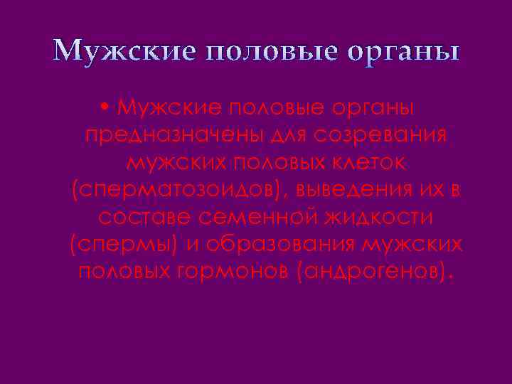 Мужские половые органы • Мужские половые органы предназначены для созревания мужских половых клеток (сперматозоидов),