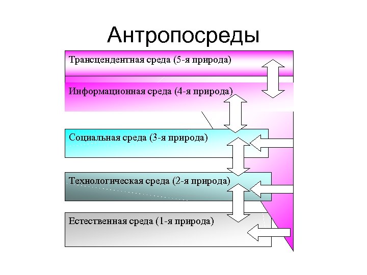 Антропосреды Трансцендентная среда (5 -я природа) Информационная среда (4 -я природа) Социальная среда (3