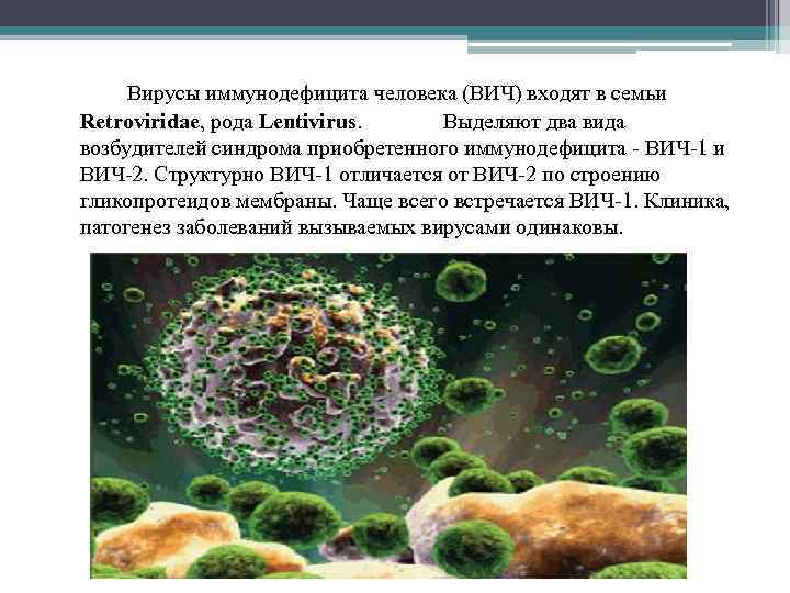 Вирусы иммунодефицита человека (ВИЧ) входят в семьи Retroviridae, рода Lentivirus. Выделяют два вида возбудителей