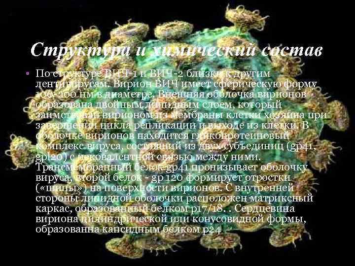 Структура и химический состав • По структуре ВИЧ-1 и ВИЧ-2 близки к другим лентивирусам.