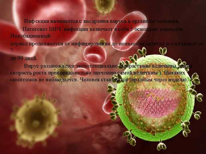 Инфекция начинается с внедрения вируса в организм человека. Патогенез ВИЧ- инфекции включает в себя