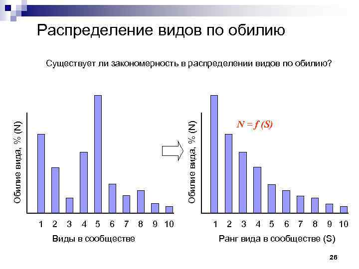 Распределение видов по обилию Существует ли закономерность в распределении видов по обилию? Обилие вида,