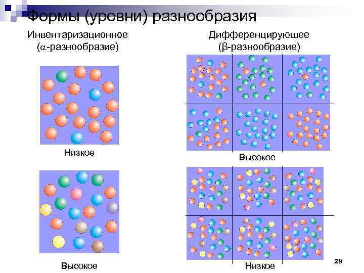 Формы (уровни) разнообразия Инвентаризационное ( разнообразие) Дифференцирующее (β разнообразие) Низкое Высокое Низкое 29 