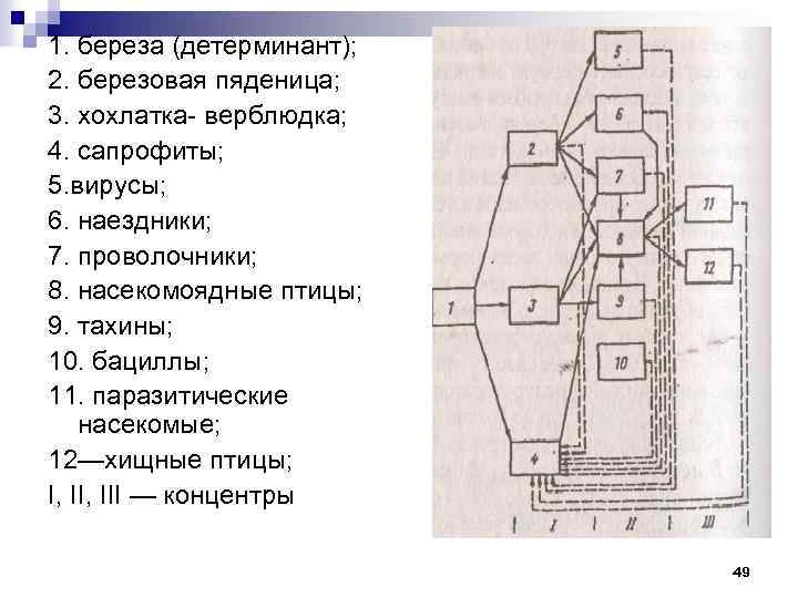 1. береза (детерминант); 2. березовая пяденица; 3. хохлатка верблюдка; 4. сапрофиты; 5. вирусы; 6.