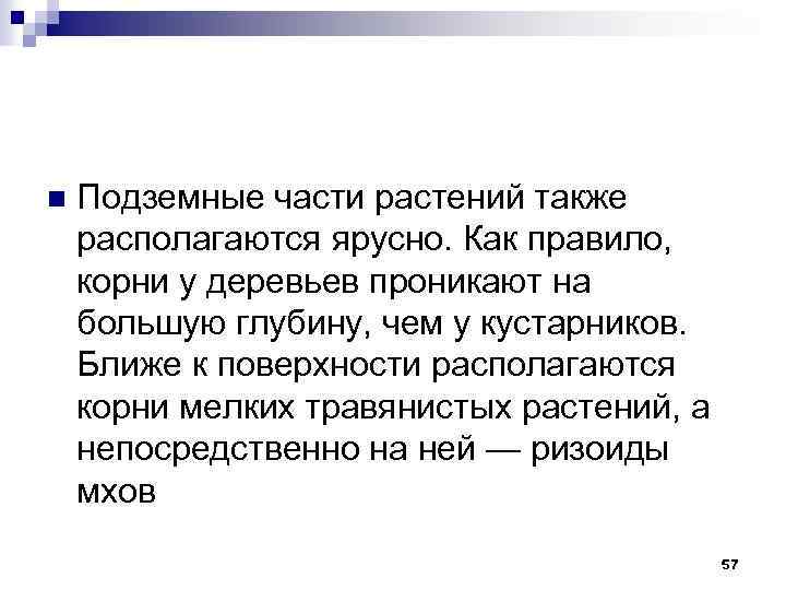n Подземные части растений также располагаются ярусно. Как правило, корни у деревьев проникают на