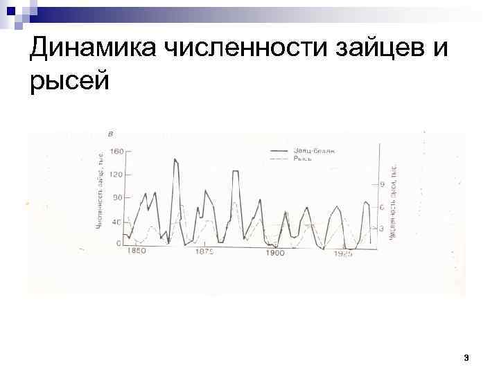 Динамика численности зайцев и рысей 3 