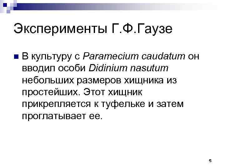 Эксперименты Г. Ф. Гаузе n В культуру с Paramecium caudatum он вводил особи Didinium