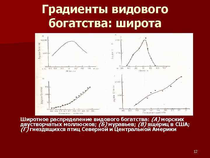 Градиенты видового богатства: широта Широтное распределение видового богатства: (А) морских двустворчатых моллюсков; (Б) муравьев;