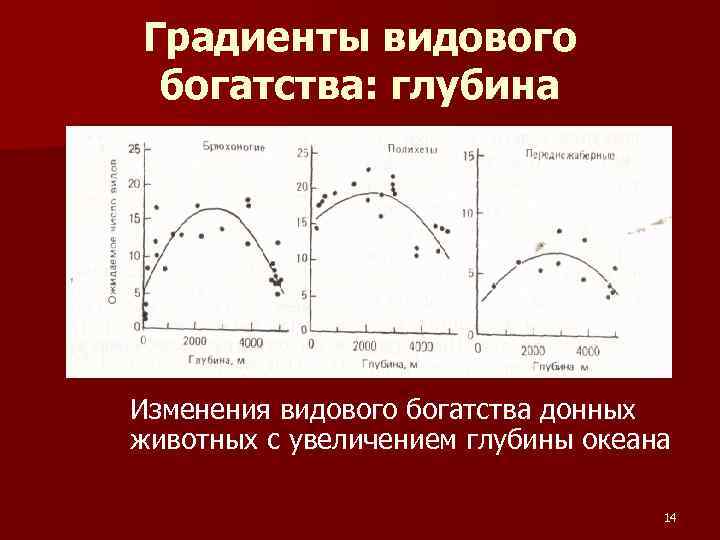 Градиенты видового богатства: глубина Изменения видового богатства донных животных с увеличением глубины океана 14