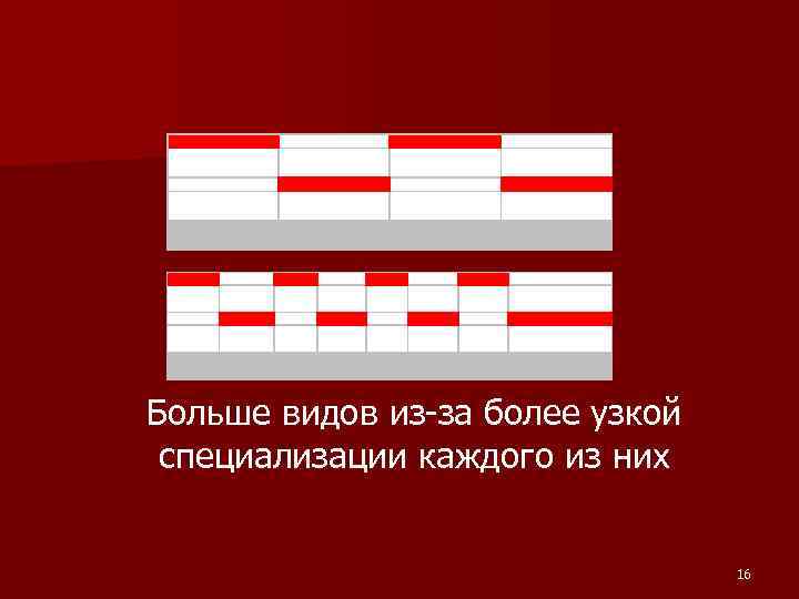 Больше видов из-за более узкой специализации каждого из них 16 