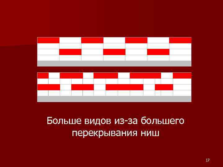 Больше видов из-за большего перекрывания ниш 17 